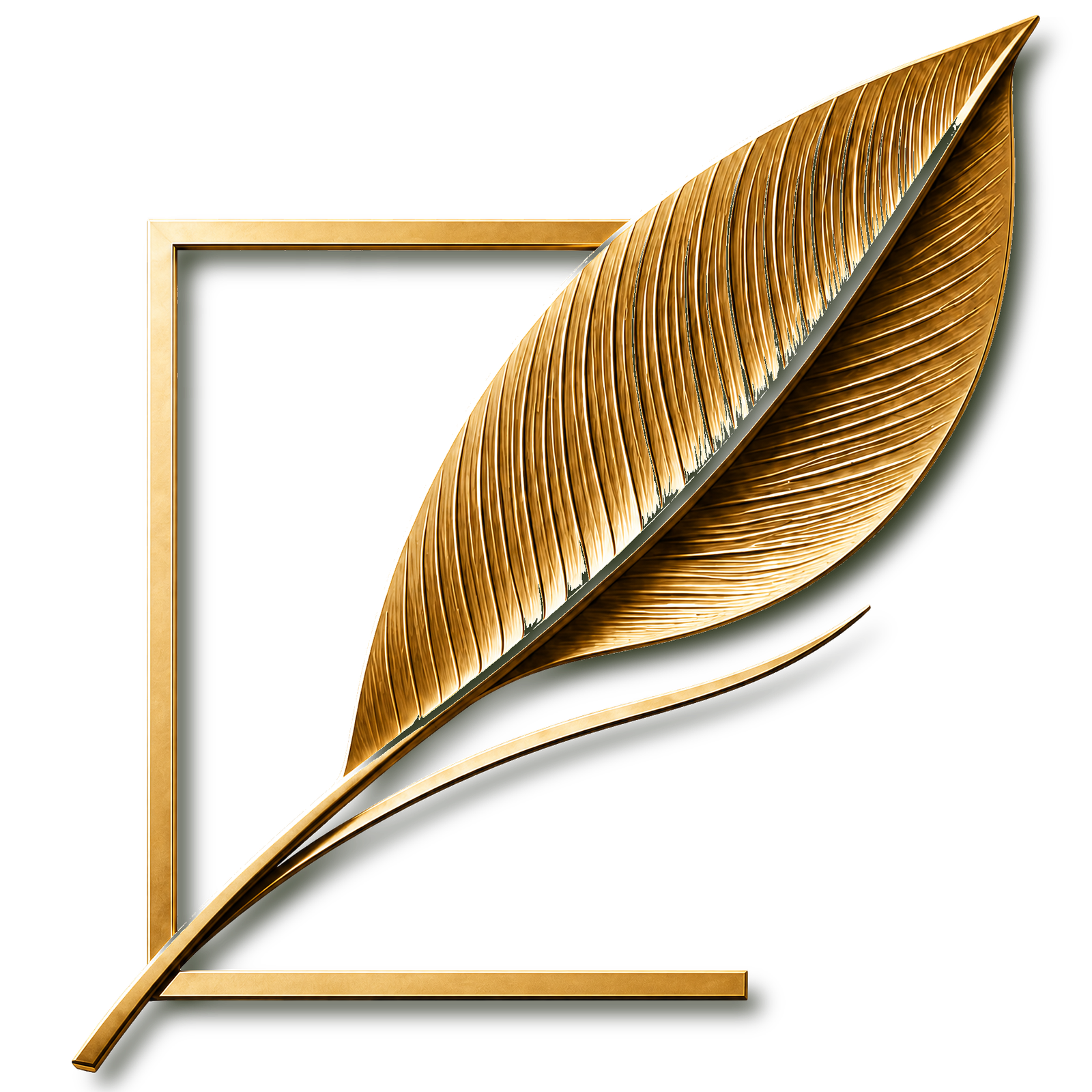 Planta & Forma Studio